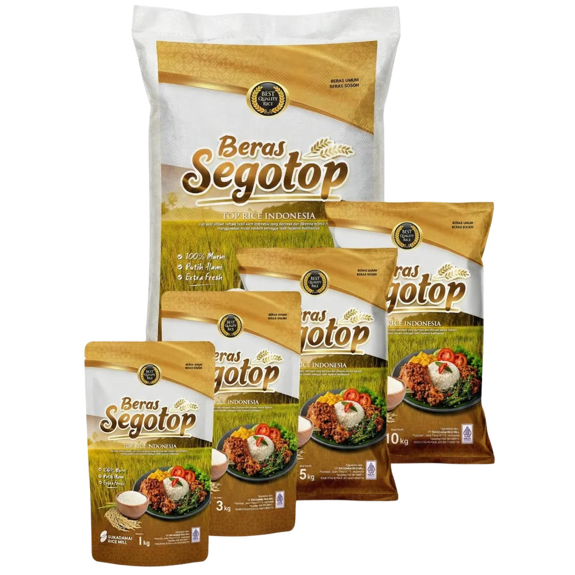 Mockup Segotop (1)